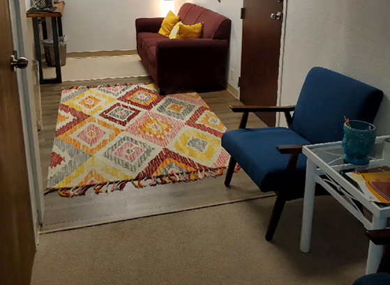 Video Image